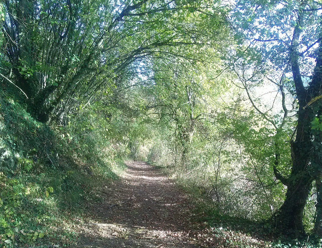 1 tunnel chemin