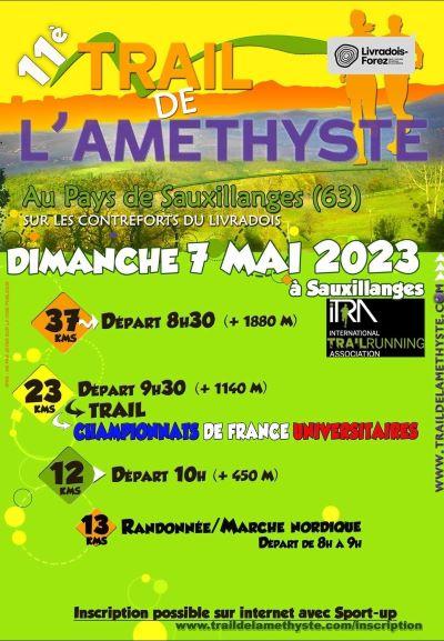 Amethyste affiche ok