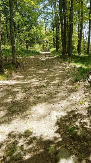 Coursieres sentier