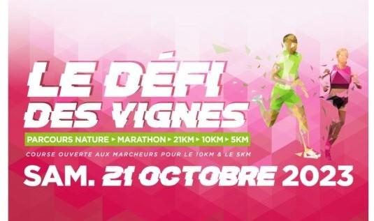 Defi des vignes535