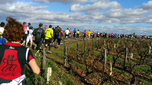 En course semi du beaujolais2016